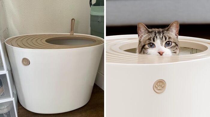 This Large Top Entry Cat Litter Box Is The Penthouse Suite Your Feline Friend Deserves, Providing Privacy And Plenty Of Space To Do Their Business In Style