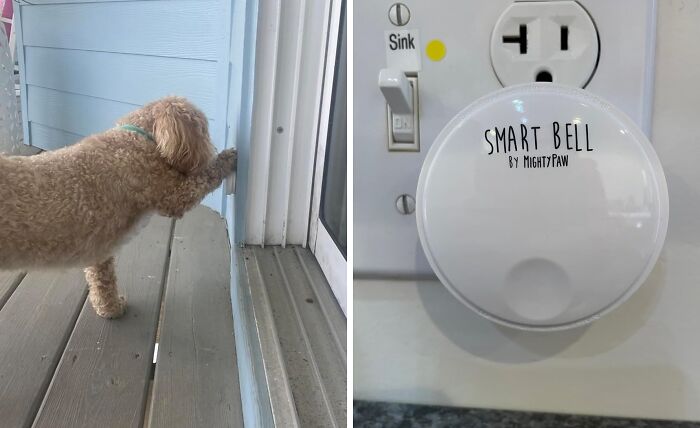 This Mighty Paw Smart Dog Bell Is The Communication Upgrade Your Furry Friend Deserves - No More Barking, Scratching, Or Whining At The Door. Just A Gentle Ring And You'll Know It's Time For A Potty Break Or A Walk In The Park!