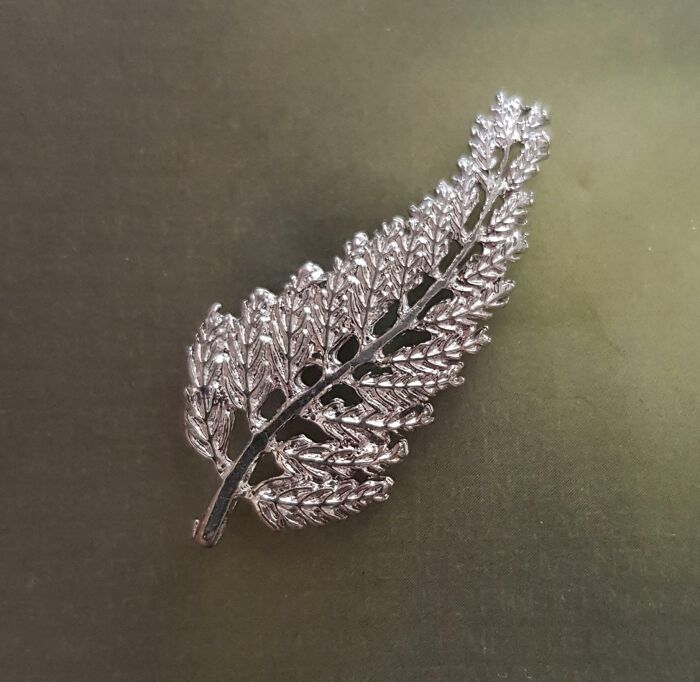 The Silver Fern Pin I Received When Granted Citizenship