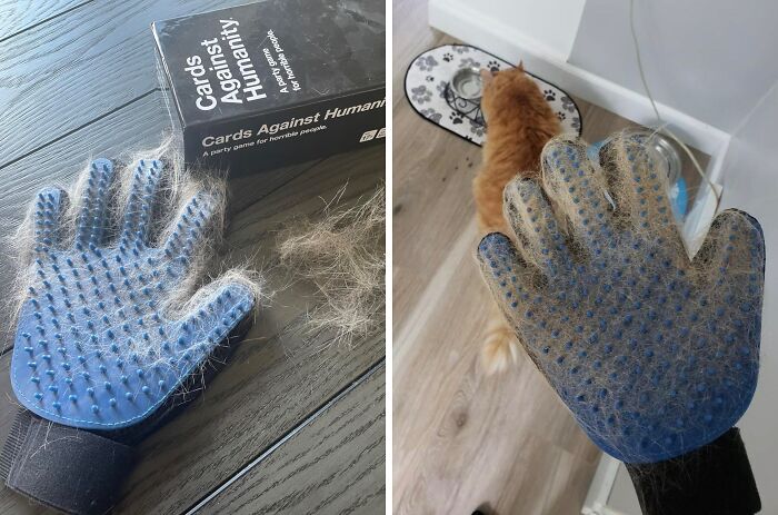 A Pet Hair Remover Glove Is The Purr-Fect Way To Give Your Furry Friend A Relaxing Massage While Simultaneously Banishing Pet Hair From Your Clothes, Furniture, And Life