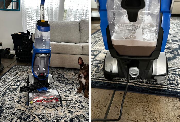 Your Furry Friend's "Accidents" Are No Match For This Bissell Proheat 2x Revolution Pet Deluxe - It's The Cleaning Champion That'll Tackle Those Tough Stains And Odors With Ease