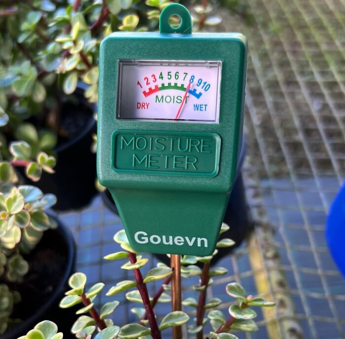 A Soil Moisture Meter Is The Green Thumb's Secret Weapon, Helping You Keep Your Plants Perfectly Hydrated Without The Guesswork