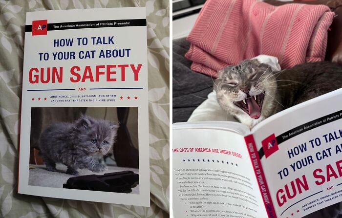  "How To Talk To Your Cat About Gun Safety" Finally, A Book That Addresses The Real Issues Facing Cat Owners Today