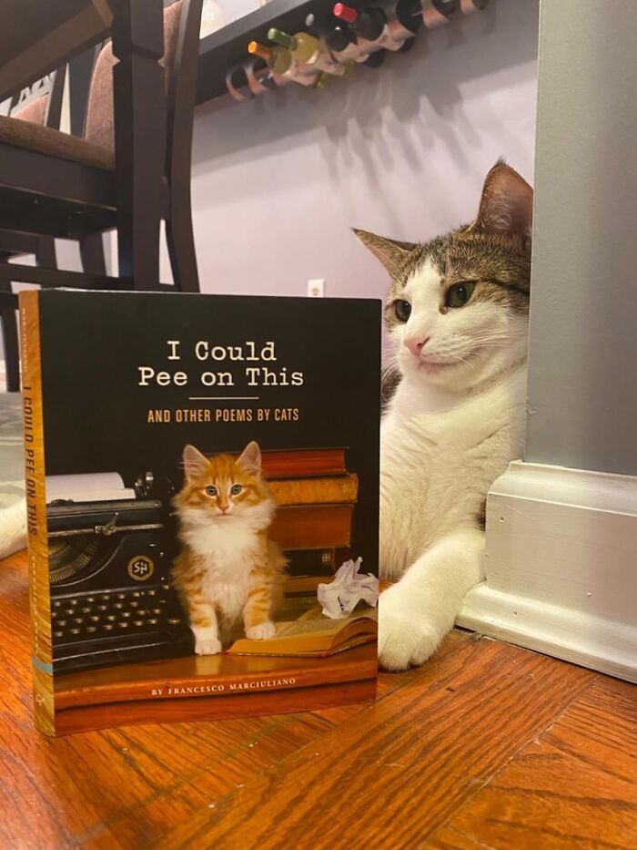  "I Could Pee On This" Finally, A Collection Of Poetry That Captures The True Essence Of Feline Philosophy. From Odes To Scratching Posts To Meditations On The Existential Dread Of Empty Food Bowls, This Book Is A Must-Have For Any Cat Lover Who's Ever Wondered What Their Furry Friend Is Really Thinking