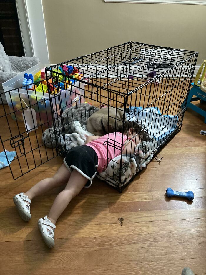 Adopted Our First Family Puppy Today. Found My 2 Year Old And Puppy Like This Day 1 - I Think We Found A Winner ☺️