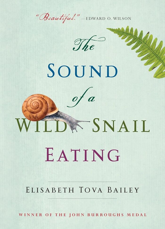  "The Sound Of A Wild Snail Eating" Sometimes The Quietest Moments Are The Loudest Reminders Of Life's Beauty And Resilience