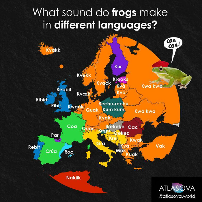 What Sound Do Frogs Make In Your Language?