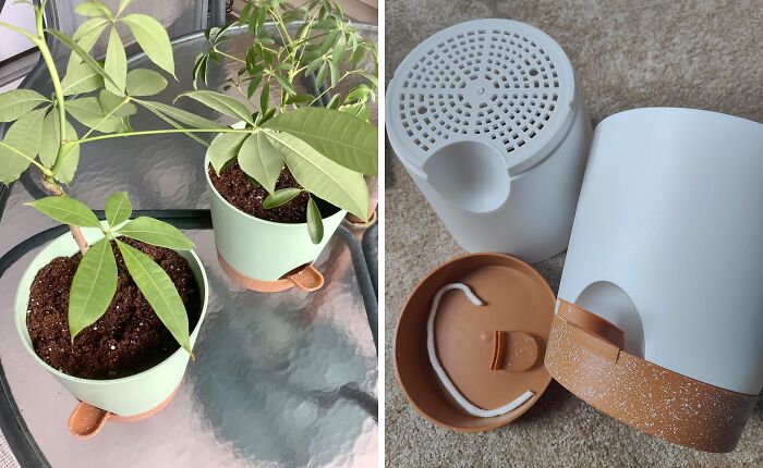 Use a reservoir planter if you forget to water your plants. Ditch the watering can and let your planter do the work! If remembering to water your plants is a constant struggle, a reservoir planter is your new best friend. These clever pots have a built-in water reservoir that gradually releases moisture to the plant's roots, ensuring they stay hydrated even if you forget to water for a few days (or weeks!)