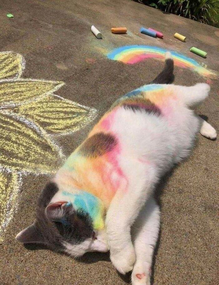 Just Finished Painting This Rainbow And Fell Asleep