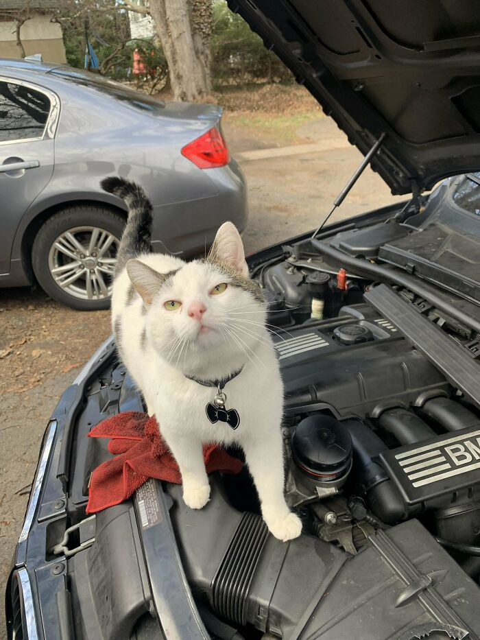 Shambo Tryna Diagnose My Car. Not Sure He’s Qualified