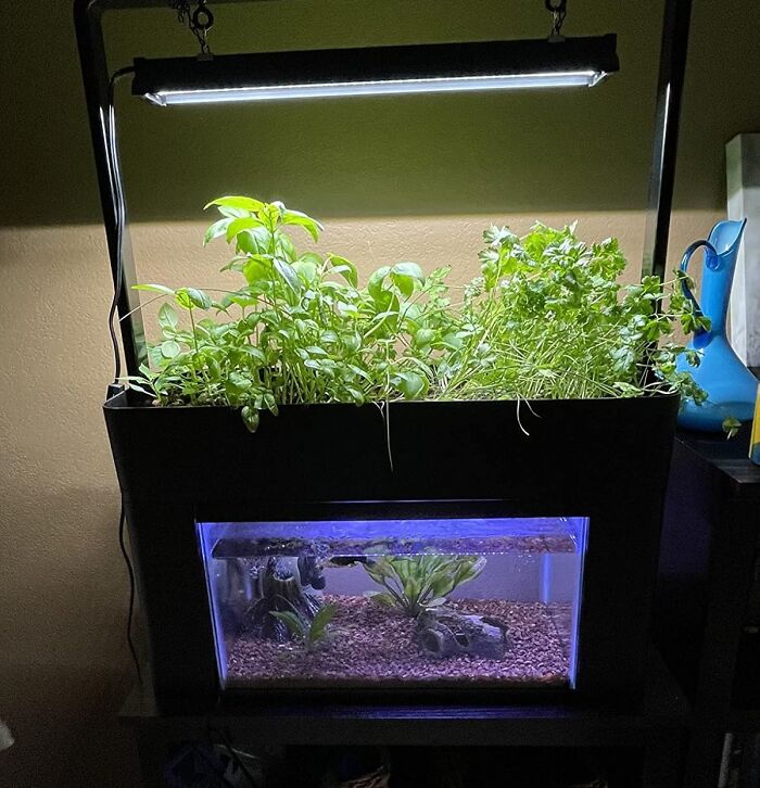 An Aquaponics Garden Lets You Enjoy Fresh, Organic Produce And Raise Healthy Fish While Conserving Water And Minimizing Waste. It's A Truly Sustainable And Rewarding Way To Connect With Nature And Cultivate Your Own Food