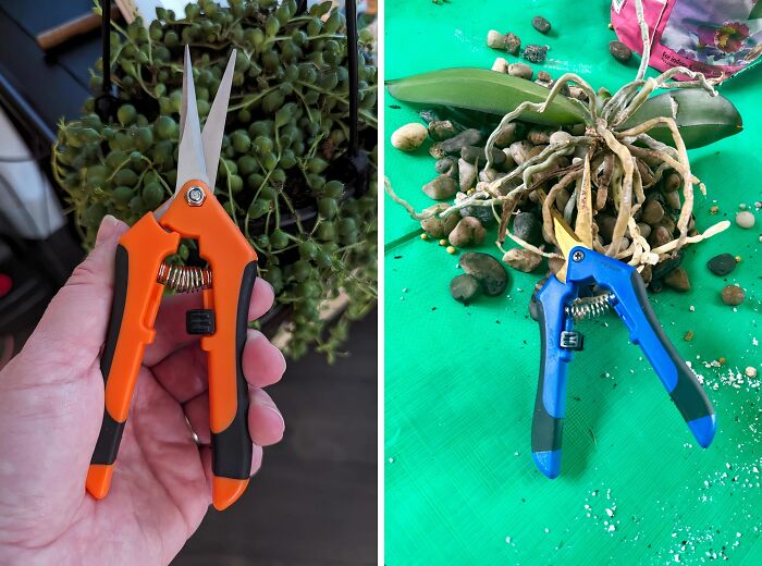 Quality Gardening Scissors Are The Snippy Little Sidekicks Every Green Thumb Needs, Making Pruning And Harvesting A Breeze