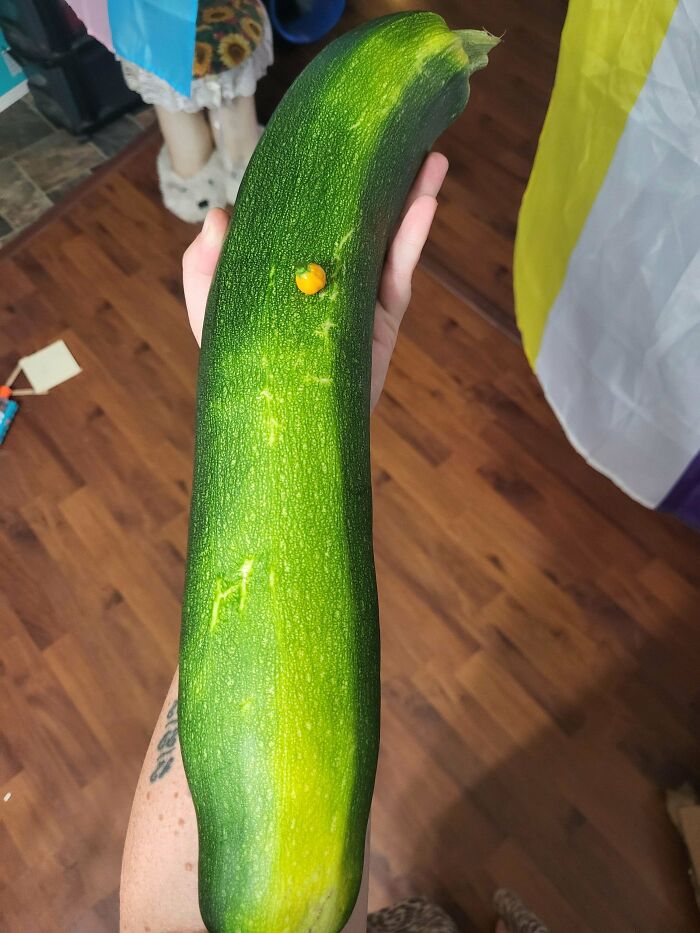 A person holding a large zucchini with a small orange dot, showcasing a humorous gardening fail.