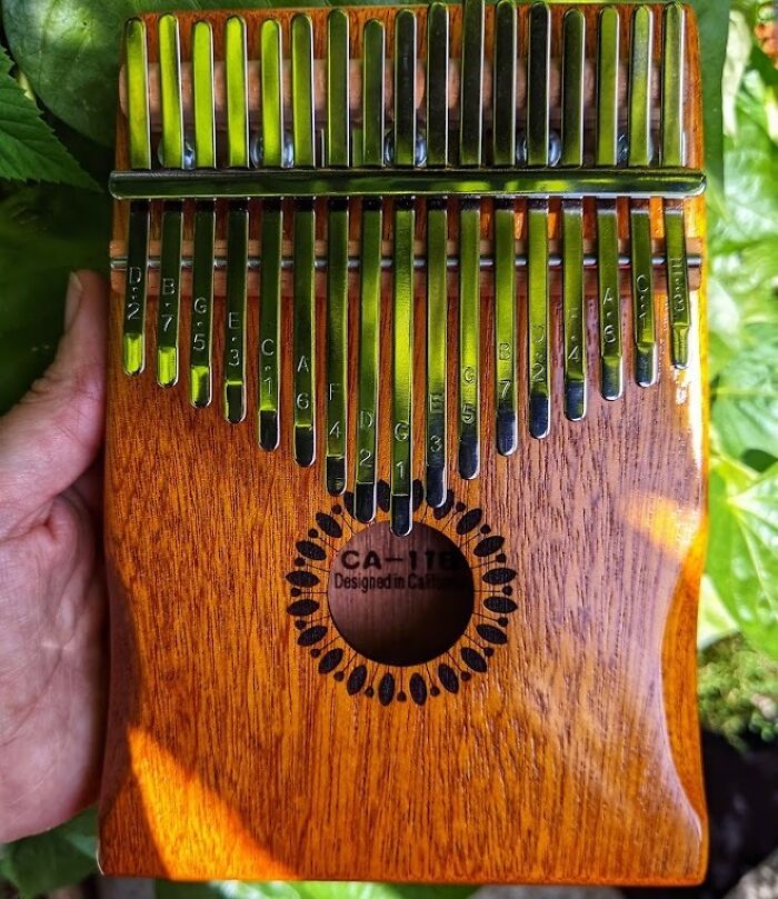 Your Thumbs Will Be Dancing To Their Own Beat With This Mesmerizing Kalimba Thumb Piano