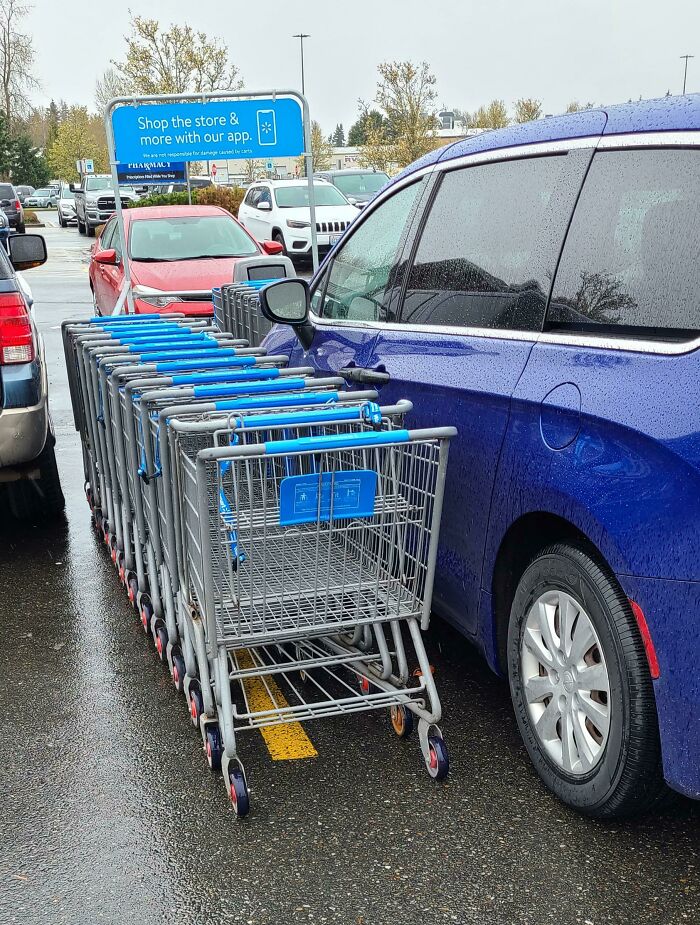 Un cliente de Florida aparcó delante de la devolución de carros, así que yo, el empujador de carros, empecé una fila al lado de su coche, y ahora los clientes están dejando carros alrededor de su coche.