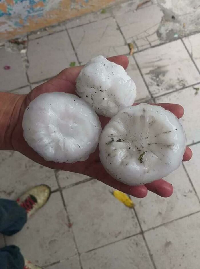 El tamaño del granizo que nos cayó anoche