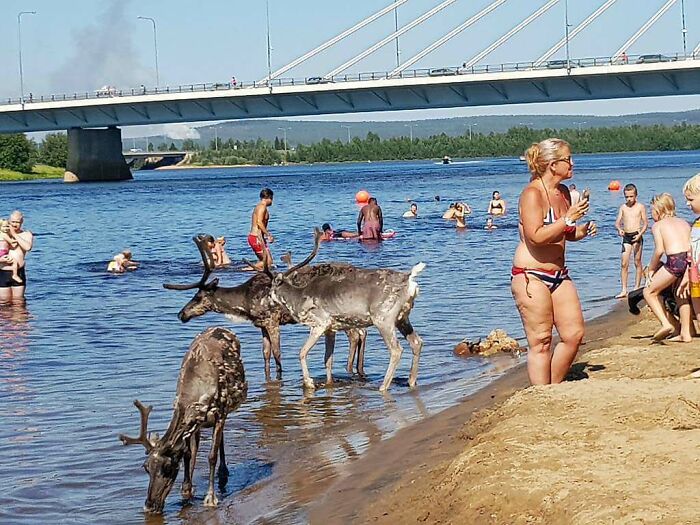 Ola de calor en Rovaniemi, Finlandia. Es donde vive Papá Noel, en el Círculo polar ártico