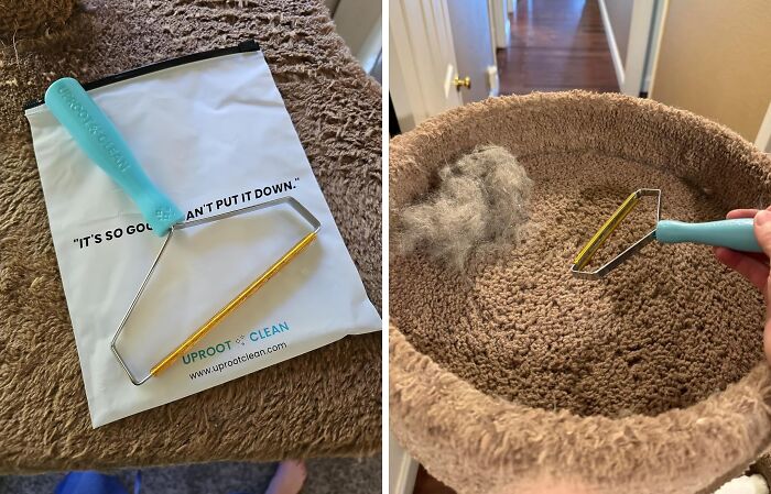 This Uproot Cleaner Pro Is So Effective, Even Your Dog Will Be Impressed