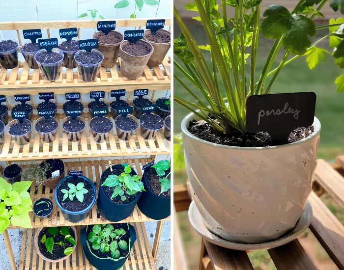  Waterproof Labels Will Keep Your Garden Organized