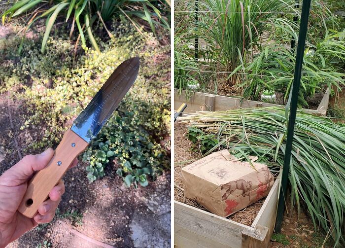 A Hori-Hori Knife Is The Swiss Army Tool For Gardening