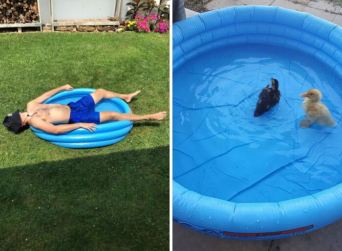 A Kiddie Pool Can Become A Self-Watering System