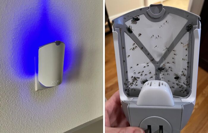 Buzz Off, Bugs! This Insect Trap Will Make Your Home A No-Fly Zone