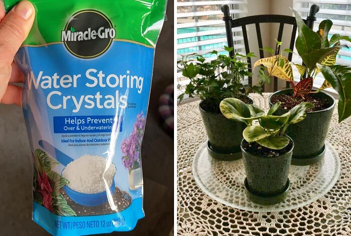 Your Plants Will Be Singing "Thank You For Being A Friend" With These Miracle-Gro Water Storing Crystals