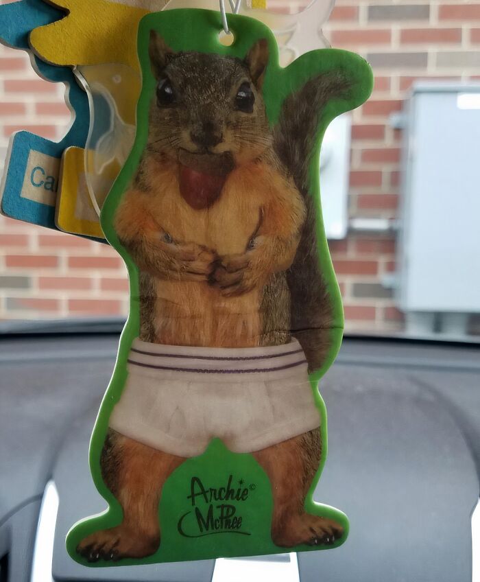 Who Needs A Boring Air Freshener When You Can Have A Squirrel In Underpants Flashing You In Your Car?