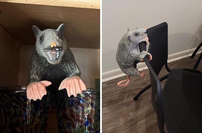 An Office Possum Is The Perfect Reminder To Take A Break From The Daily Grind And Embrace Your Playful Side