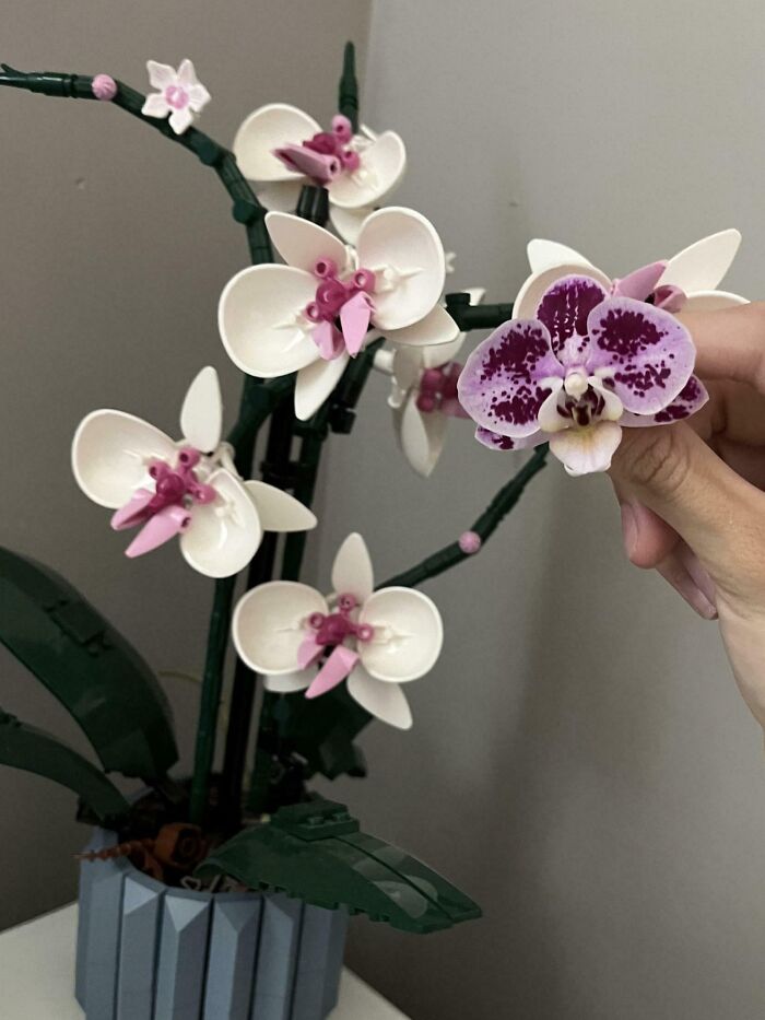 LEGO Orchid Compared To Real Orchid