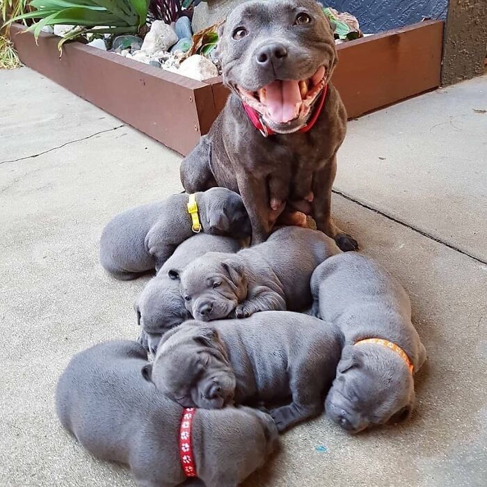 One Very Proud Mom