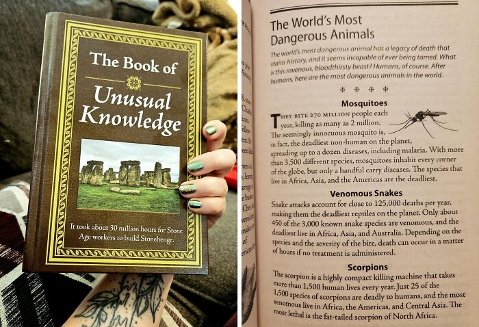 Your Brain Is About To Get A Serious Upgrade With This Book Of Unusual Knowledge – Prepare To Impress (Or Annoy) Your Friends With Random Trivia At Every Party