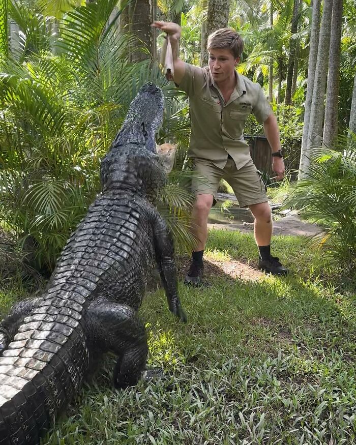 Robert Irwin Suffers Freak Accident While On Top Of Crocodile’s Head