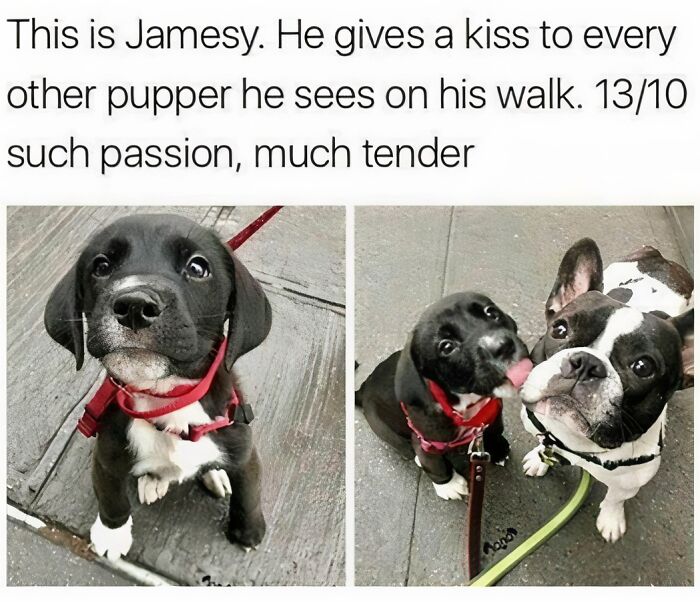 50 Heartwarming Posts To Combat The Negativity Of The World - 35