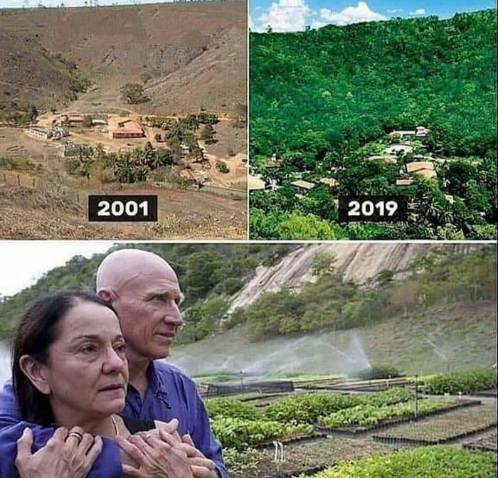 In Brazil, This Couple Planted 2 Million Trees In 18 Years True Heroes