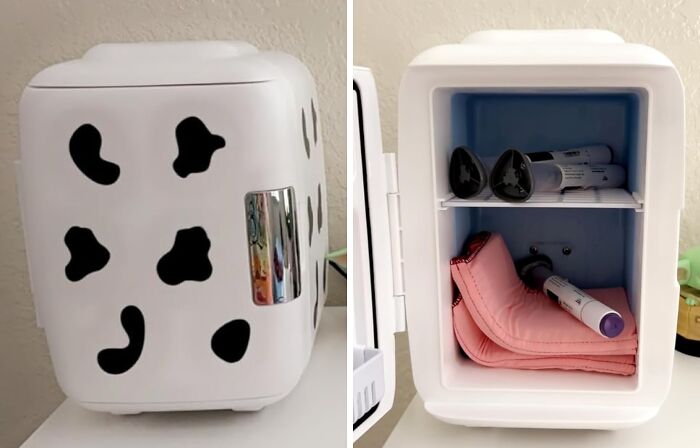 Forget About Lukewarm Drinks And Questionable Leftovers! This Mini Fridge Is The Dorm Room Essential That'll Keep Your Snacks Fresh And Your Beverages Chilled