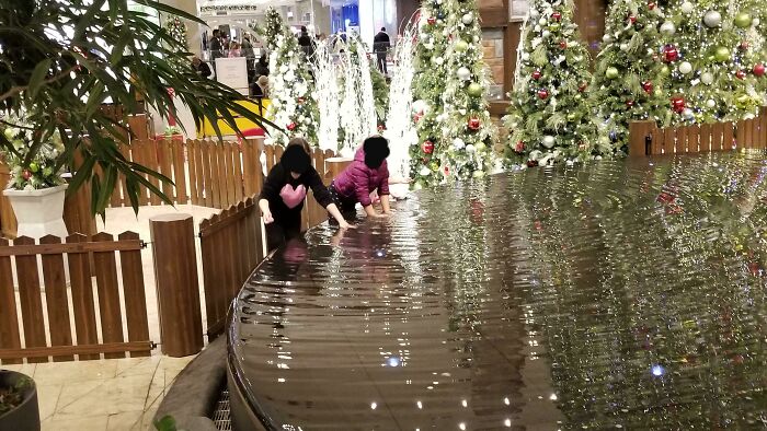 Kids Stealing Money Out Of The Wishing Fountain At The Mall While Their Parents Watched And Laughed