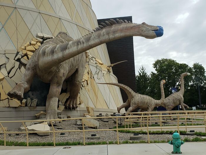 These Dinosaurs Wearing Masks At The Indianapolis Children's Museum