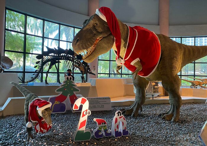 The Museum In My City Dressed Up The Dinosaurs For Christmas. Taichung, Taiwan