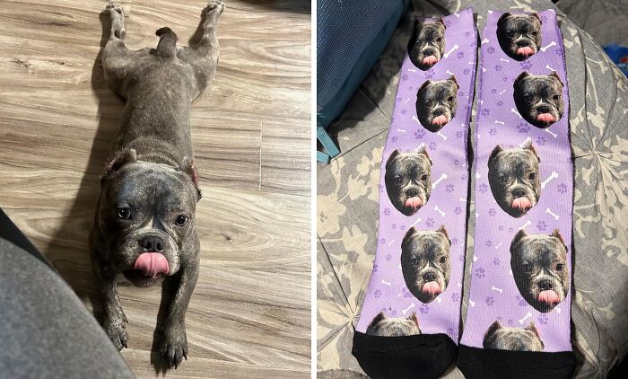 Dog laying on floor, tongue out, next to socks featuring the same dog&rsquo;s face, adding goofiness to the day.