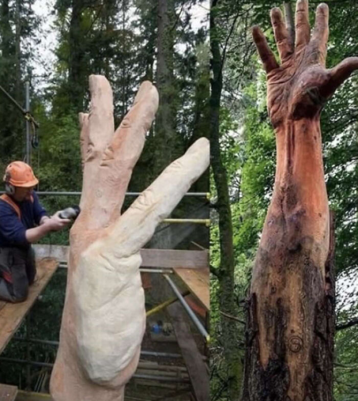 The Tallest Tree In Wales Was Damaged By Lightning And Instead Of Cutting It Down, A Chainsaw Artist Did This As A Symbol Of The Trees Last Attempt To Reach The Sky