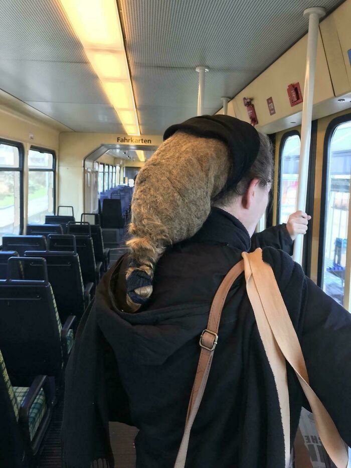 Person on a train with a unique hair arrangement resembling a raccoon, highlighting a tragic hair accident.