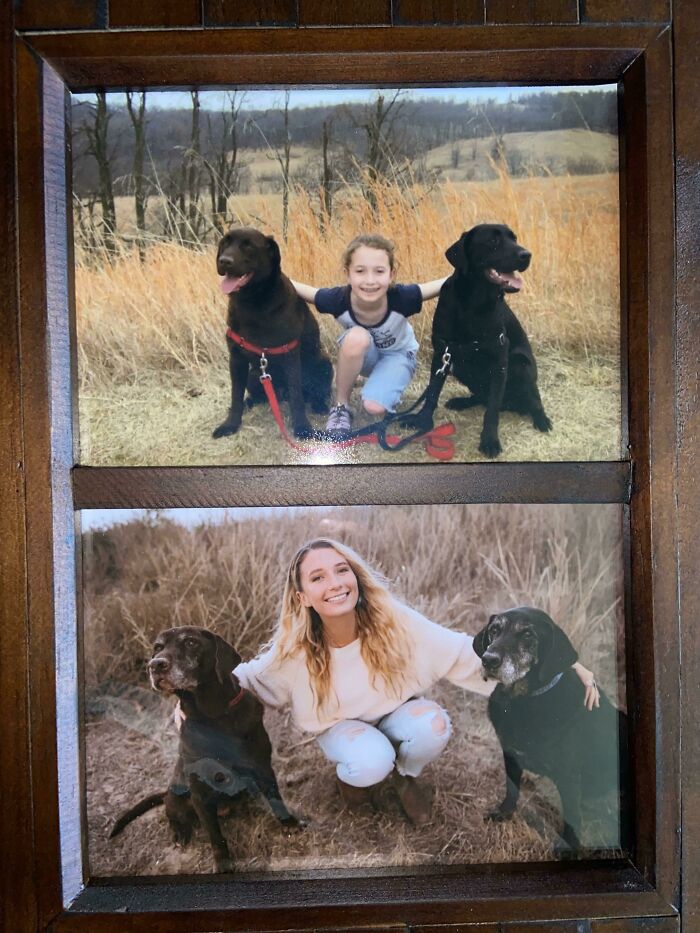 I Got Photos Taken Of Me And My 13-Year-Old Dogs To Recreate Some Old Ones For Christmas