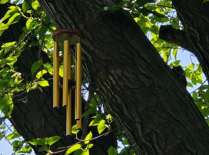 Dancing To The Song Of Prosperity: Wing Chimes , Spreading Rich Vibes In Every Jingle!