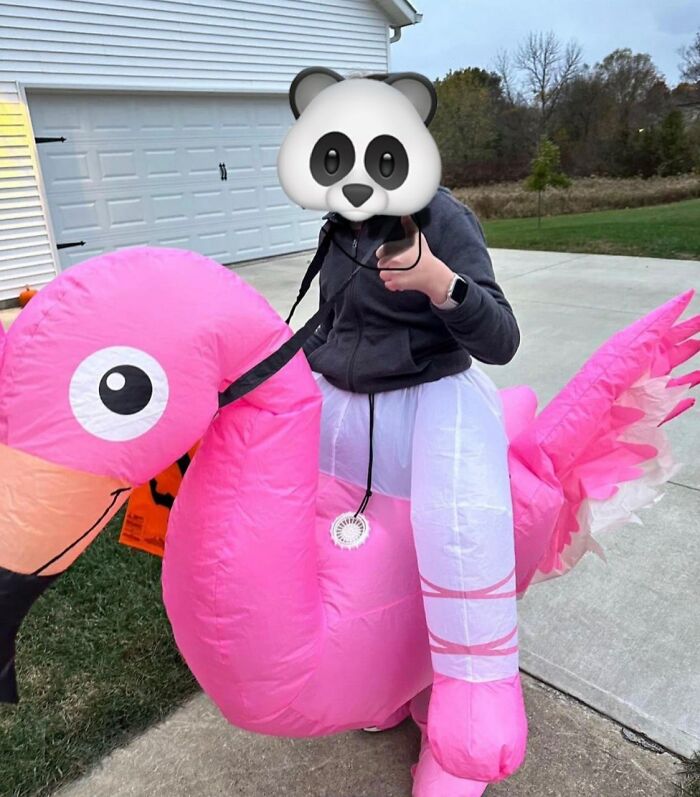 Labor Day Sales Mean You Can Finally Afford To Be Extra This Halloween! Nab This Inflatable Ballerina-Riding-A-Flamingo Costume And Prepare To Steal The Show