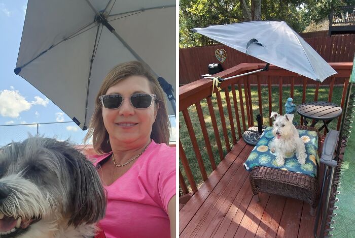 Woman with dog under umbrella enjoying outdoors; patio scene features dog on wicker seating under shade. Most wished-for items.