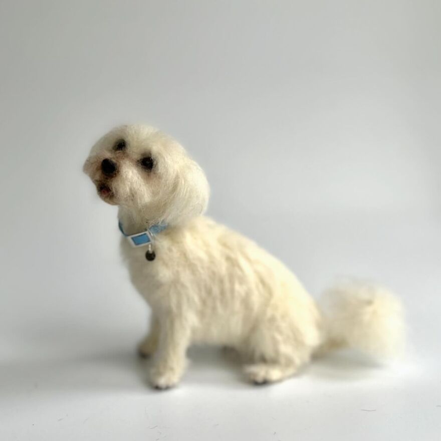 Needle-Felted Wonders: Curly Jo Hobbs Crafts Realistic Miniature Dogs And Donkeys