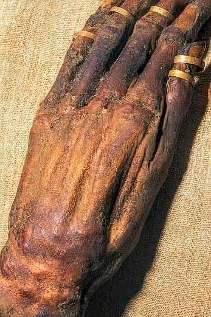 Mano momificada de Yuya, abuelo de Akenatón y bisabuelo de Tutankamón. Este es un ejemplo sobresaliente de las habilidades del embalsamador en el Antiguo Egipto, la momia perteneciente a la dinastía 18 se ha conservado brillantemente.