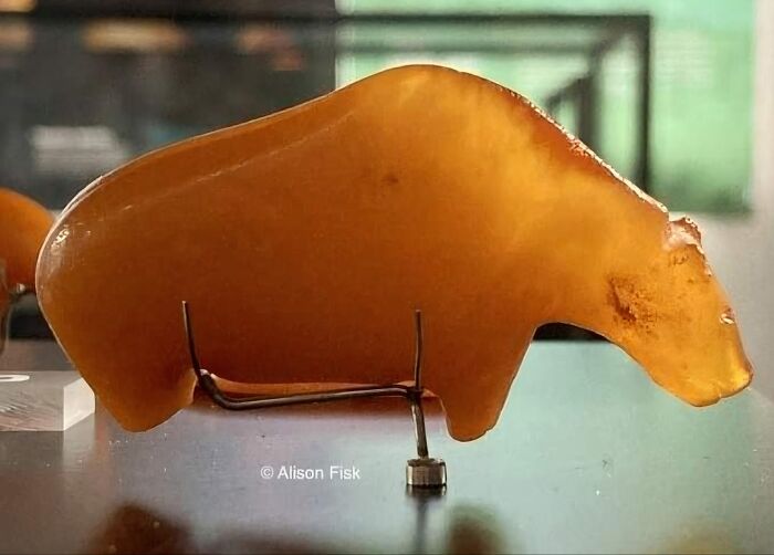 An Ancient Mesolithic Amber Bear, From About 10,000 Years Ago, Washed Up On The Coast Of Fano In Denmark