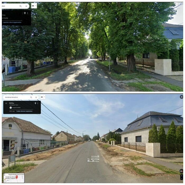 Dombóvár, A Small City In Hungary Cut Down Its 100 Year Old Chestnut Trees